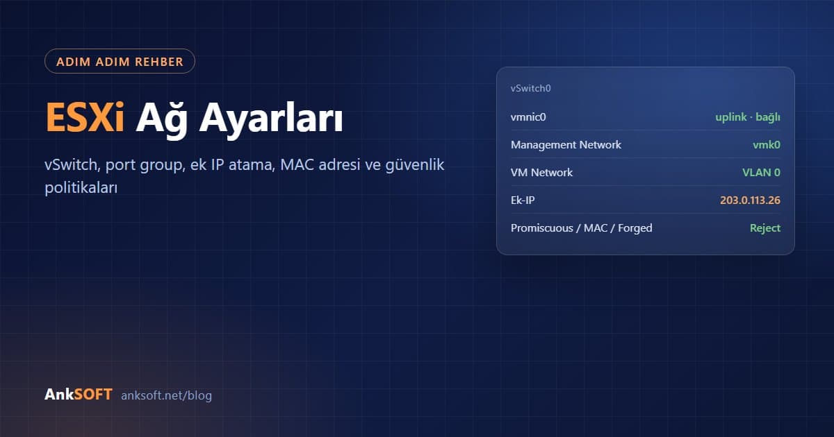 ESXi Ağ Ayarları: vSwitch, Port Group ve Ek IP Atama