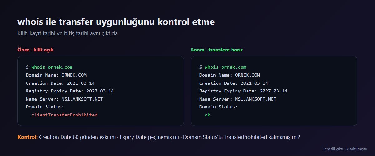 whois çıktısında transfer kilidinin görünümü