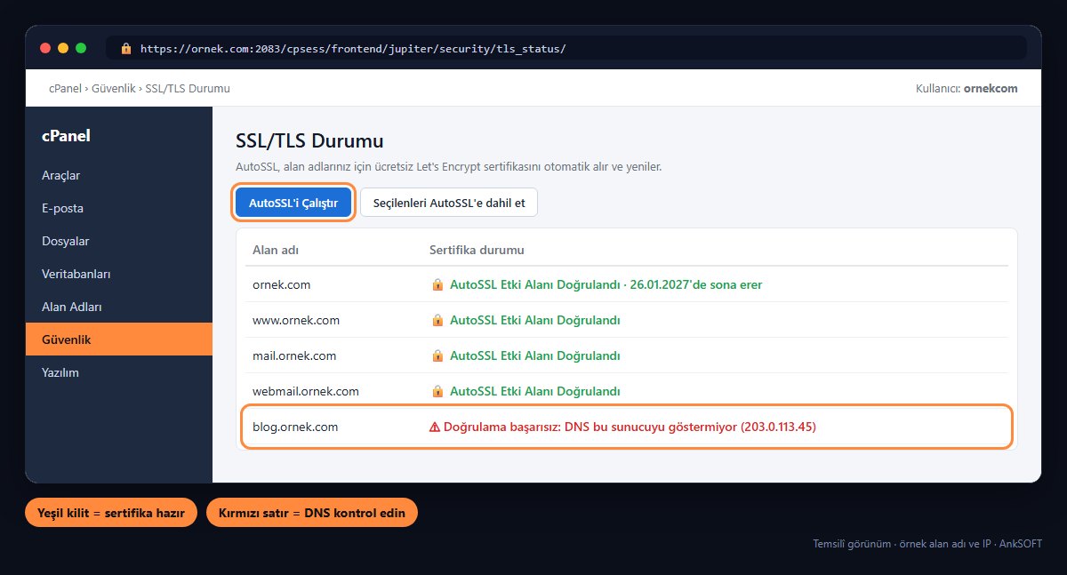 cPanel SSL/TLS Durumu sayfası