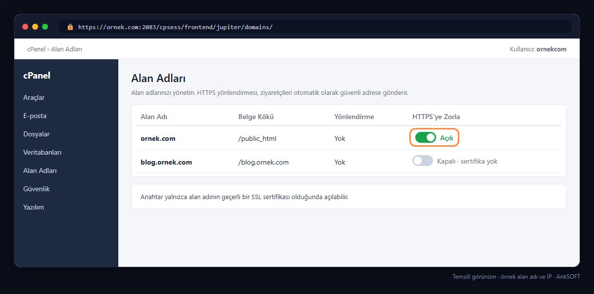 cPanel Alan Adları sayfasında HTTPS'ye Zorla anahtarı