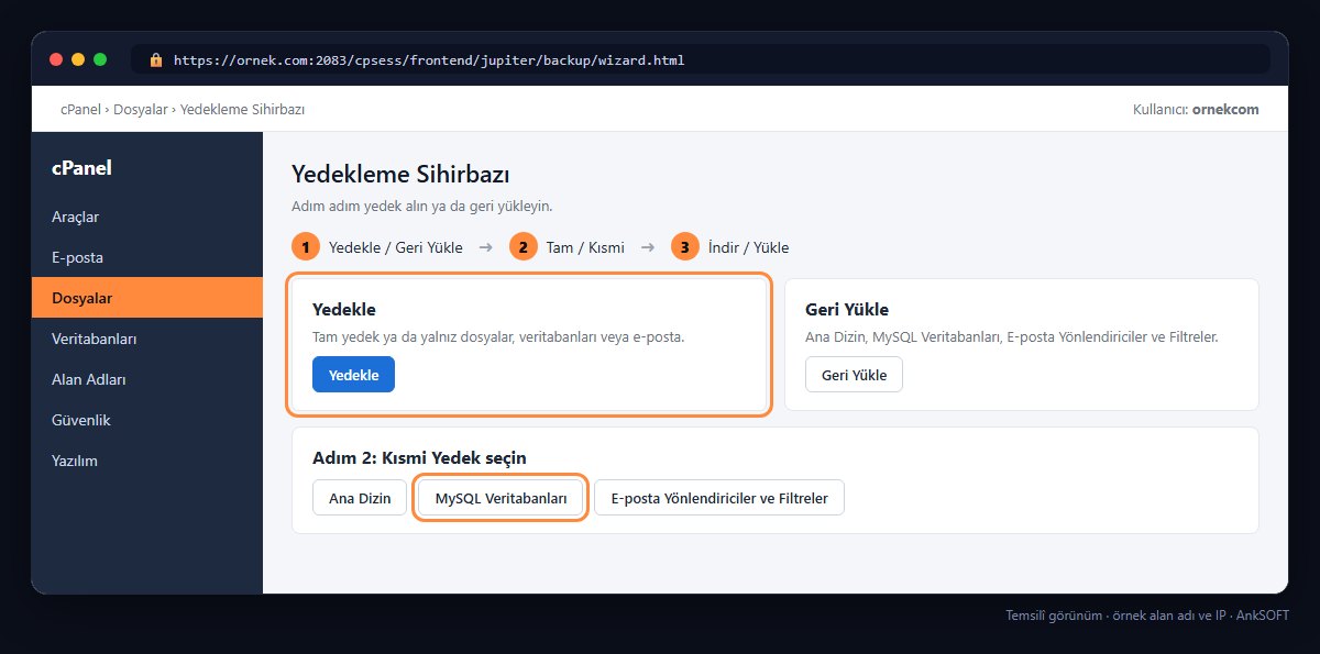 cPanel Yedekleme Sihirbazı adımları