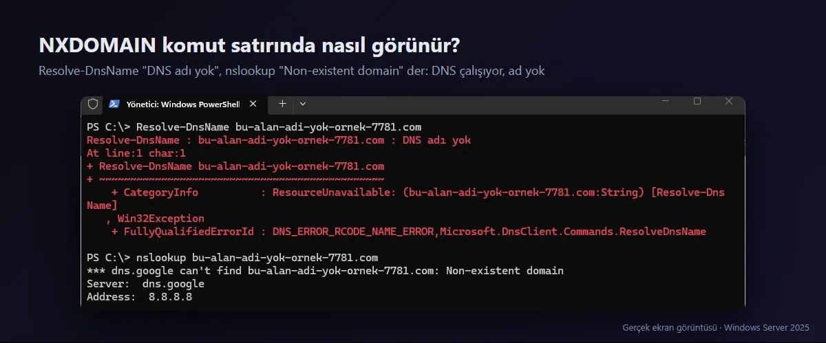 Resolve-DnsName ve nslookup çıktısı: DNS adı yok ve Non-existent domain