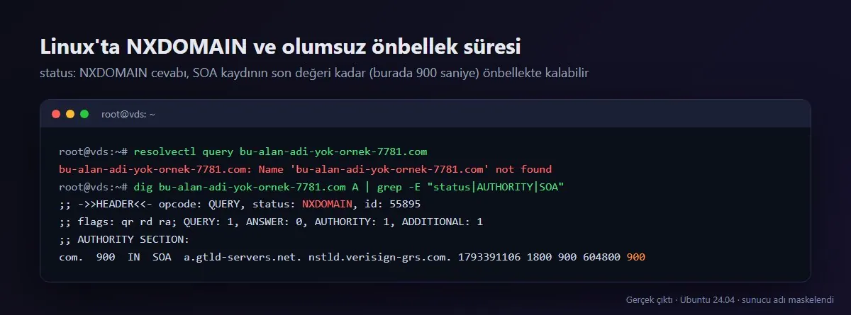 Ubuntu'da resolvectl query ve dig çıktısı: status NXDOMAIN ve SOA kaydında olumsuz önbellek süresi
