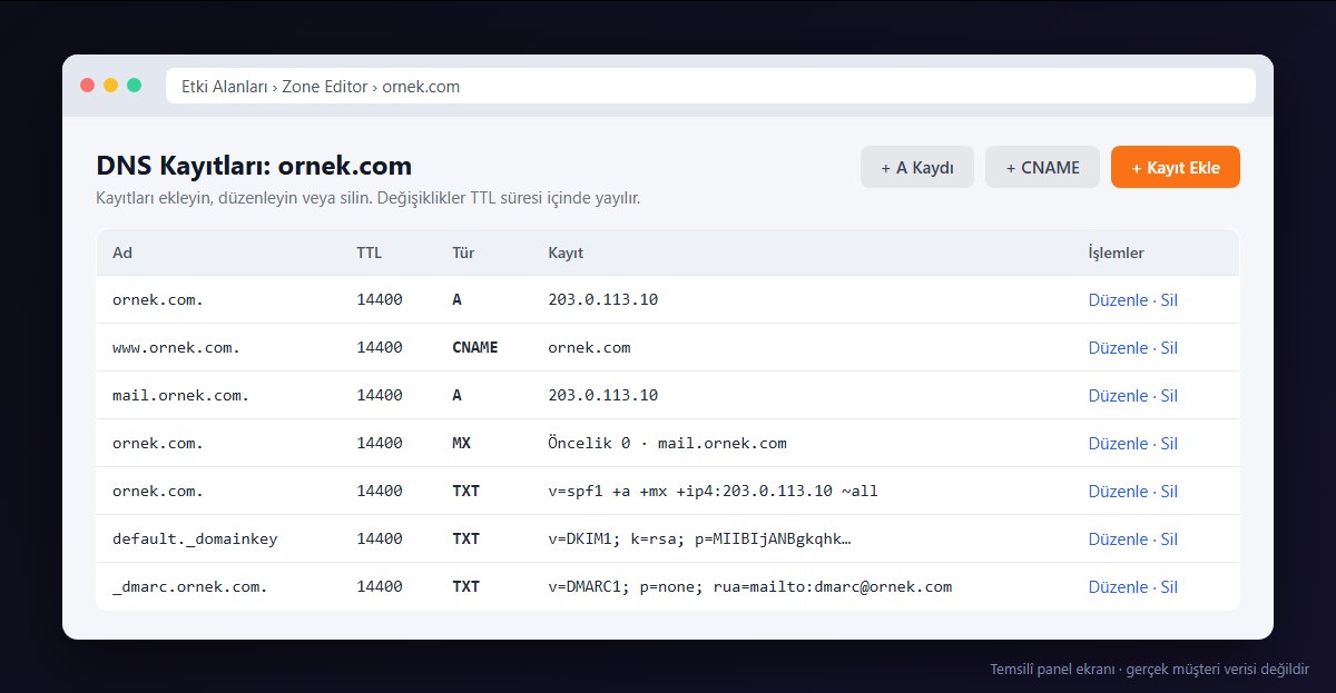Örnek bir alan adının DNS bölge kayıtları (temsilî panel ekranı)