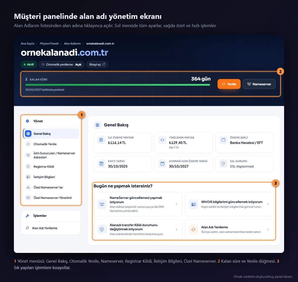 AnkSOFT müşteri panelinde alan adı yönetim ekranı: Yönet menüsü, kalan süre ve hızlı işlemler