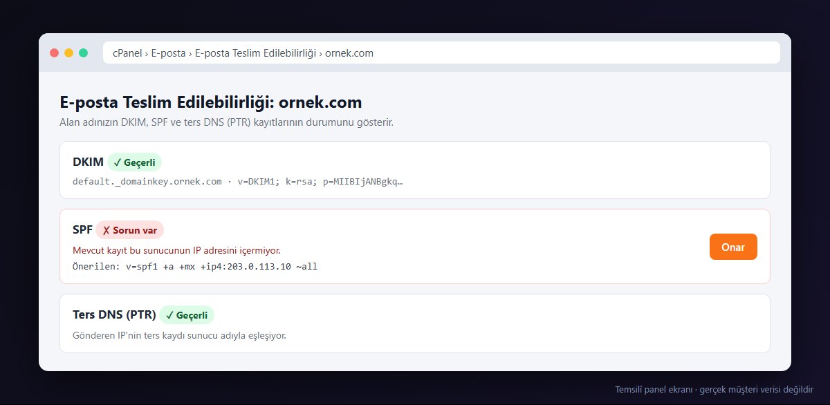 cPanel E-posta Teslim Edilebilirliği ekranı (temsilî)