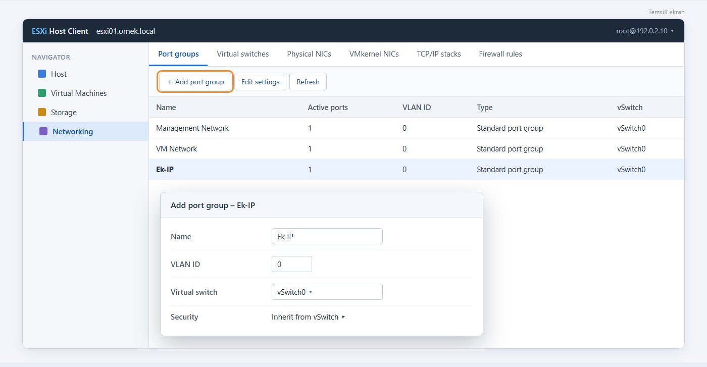 ESXi Host Client Networking Port groups sekmesi ve Add port group penceresi
