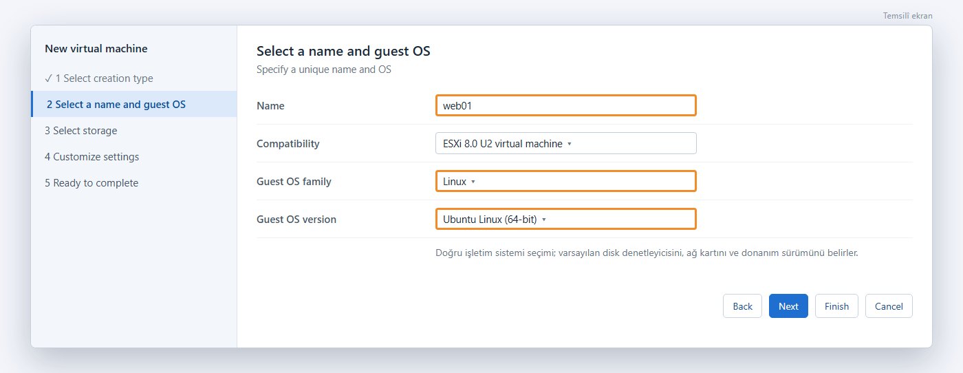 ESXi yeni sanal makine sihirbazı: ad, uyumluluk ve konuk işletim sistemi seçimi