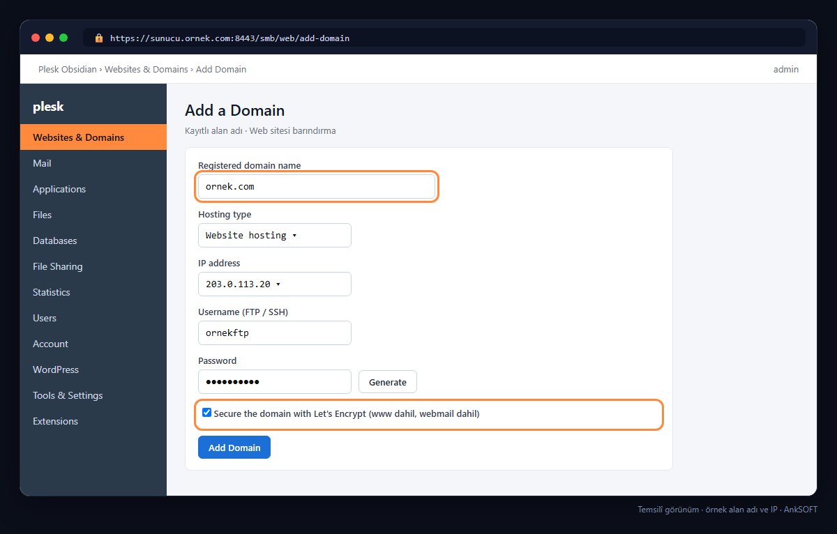 Plesk Add Domain penceresi