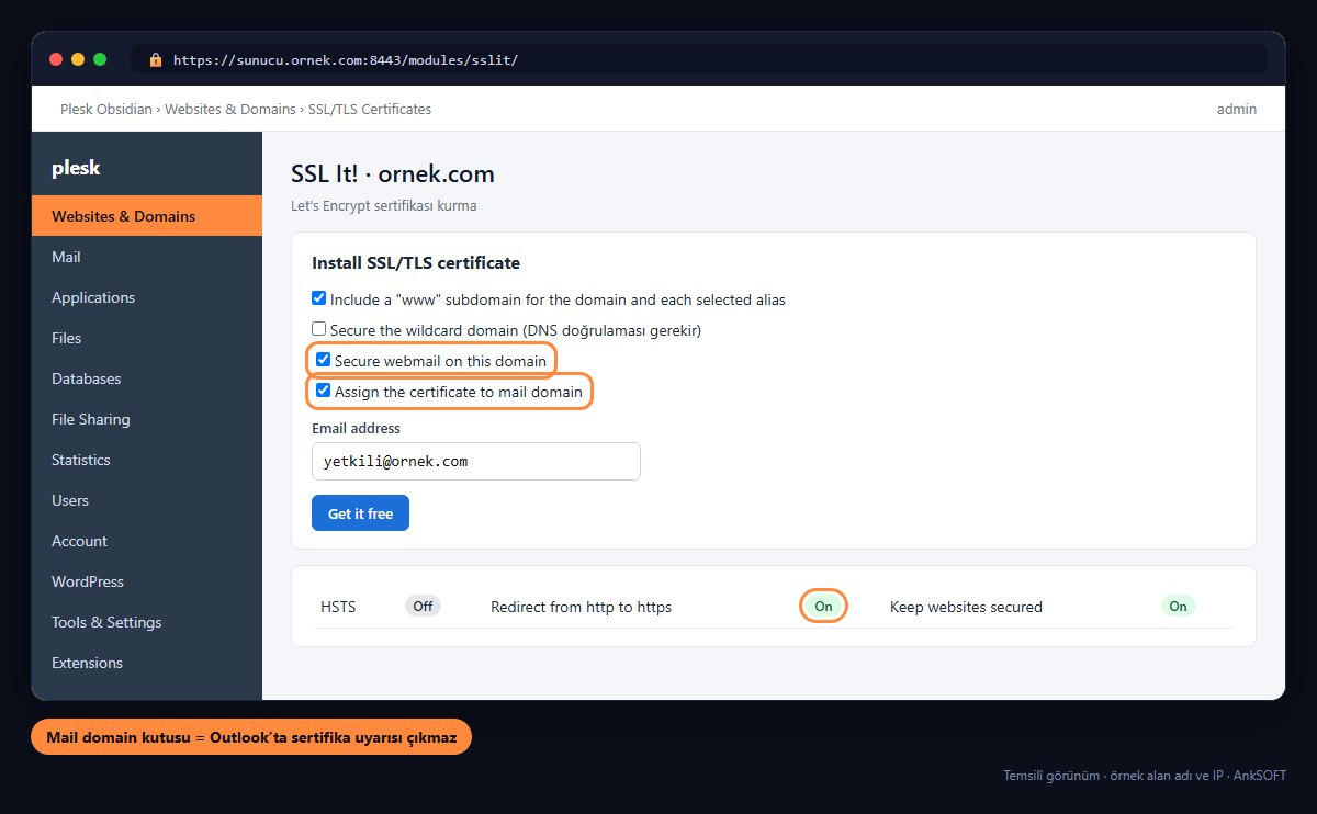 Plesk SSL It! Let's Encrypt kurulumu