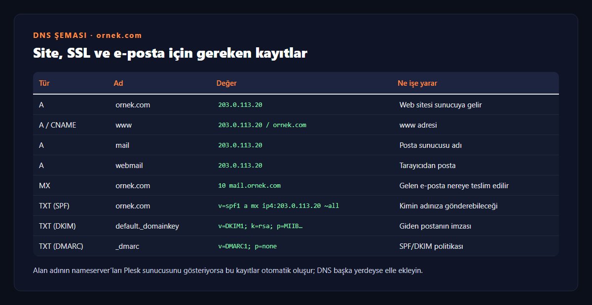 Plesk alan adı için gerekli DNS kayıtları