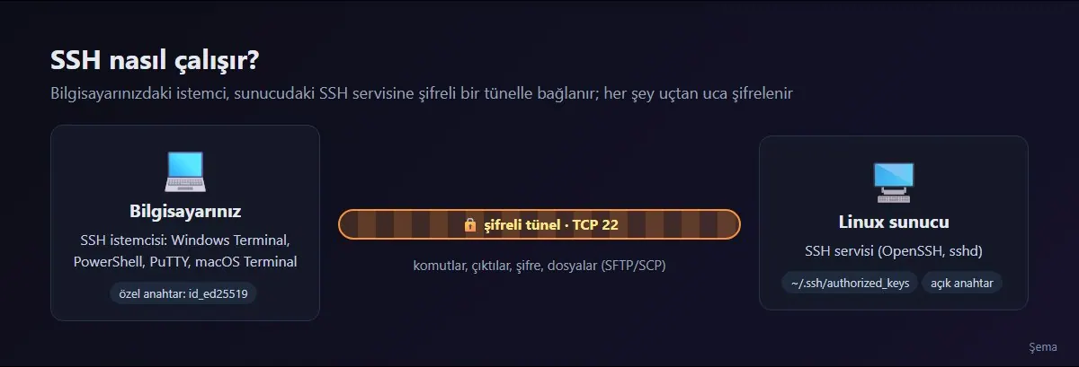 SSH bağlantı şeması: bilgisayarınızdaki istemci, 22 numaralı porttan şifreli tünelle sunucudaki SSH servisine bağlanır