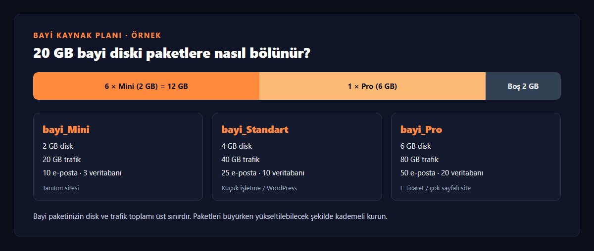 Bayi disk alanının paketlere dağıtımı