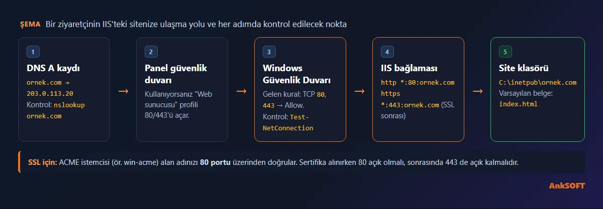 İnternetten IIS sitesine giden yol: DNS A kaydı, Windows Güvenlik Duvarı 80/443, IIS host name bağlaması ve site klasörü