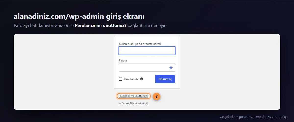 WordPress giriş ekranı ve Parolanızı mı unuttunuz bağlantısı