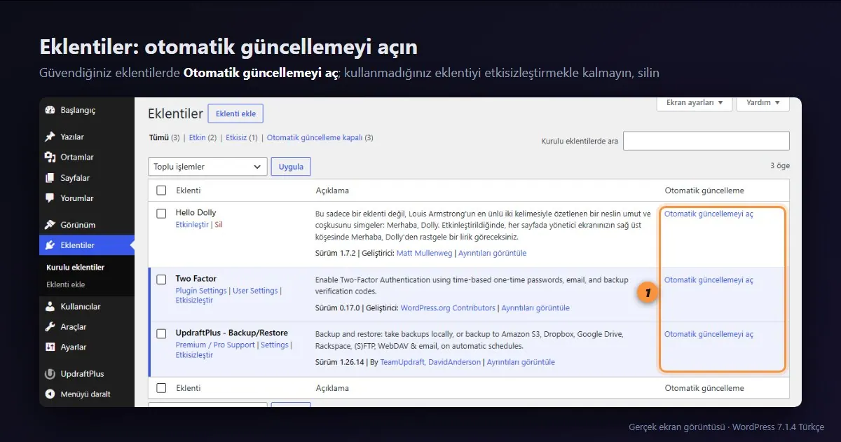 WordPress Eklentiler sayfasında Otomatik güncelleme sütunu