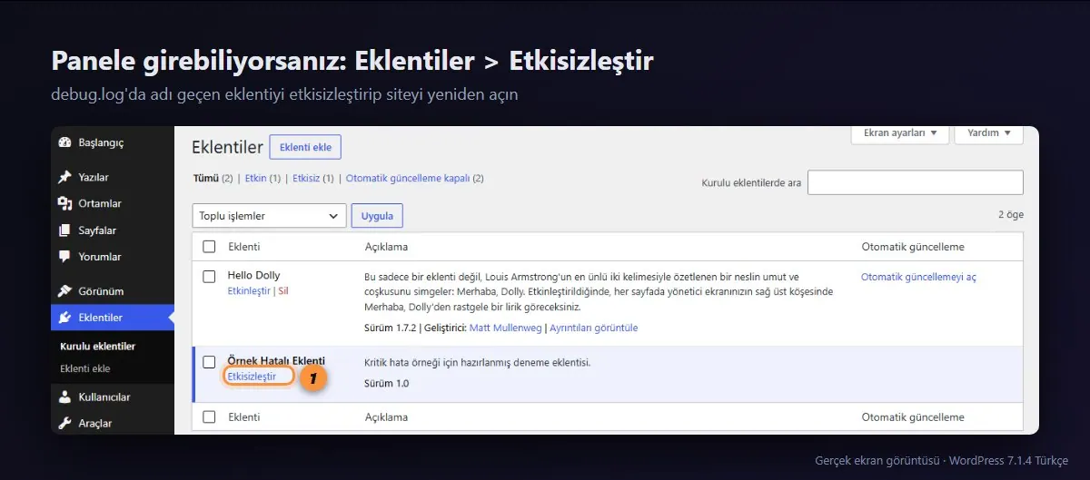WordPress Eklentiler sayfasında hatalı eklentiyi etkisizleştirme