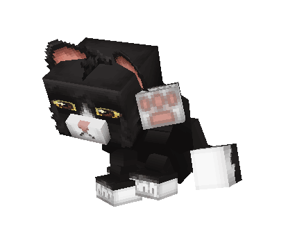 Hytale Sunucu Hazırlık